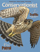 Conservationist magazine cover